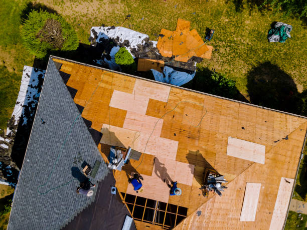 Best Roof Leak Repair  in Memphis, MI
