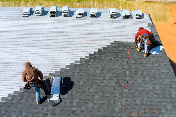 Best Roof Repair Services  in Memphis, MI