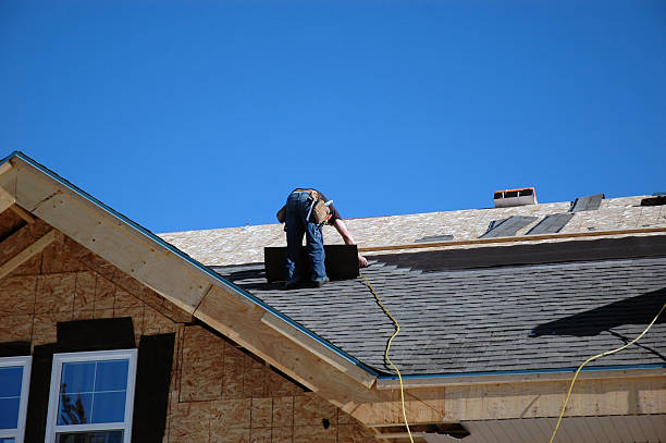 Best Sealant for Roof  in Memphis, MI