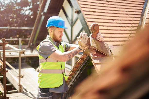 Best Affordable Roof Replacement  in Memphis, MI