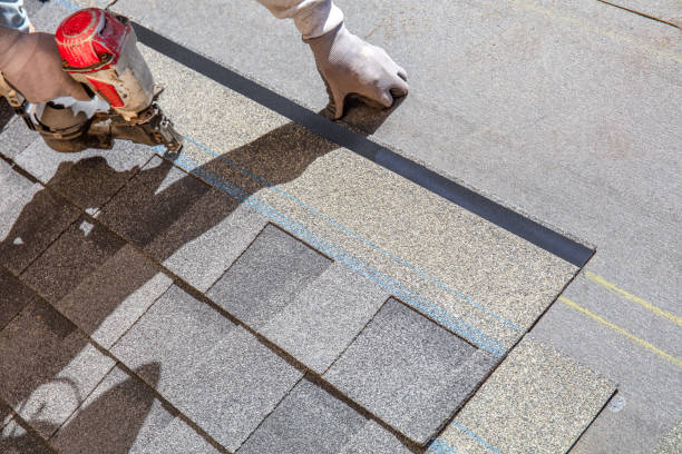 Best Roof Restoration Services  in Memphis, MI