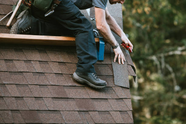 Best New Roof Installation  in Memphis, MI